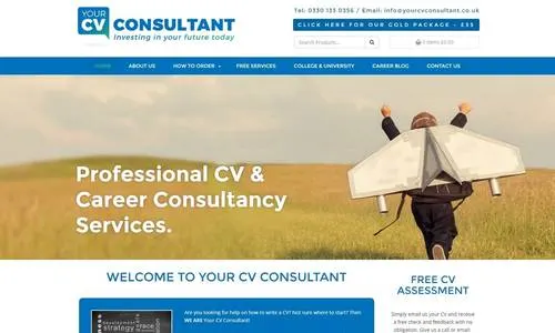 web_design_example_5563_500x300